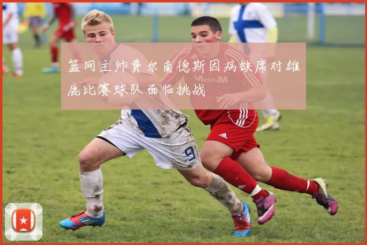 篮网主帅费尔南德斯因病缺席对雄鹿比赛球队面临挑战