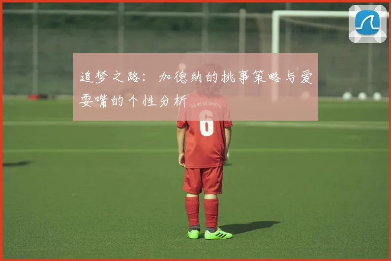追梦之路：加德纳的挑事策略与爱耍嘴的个性分析