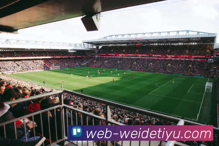 伟德体育APP 封面图